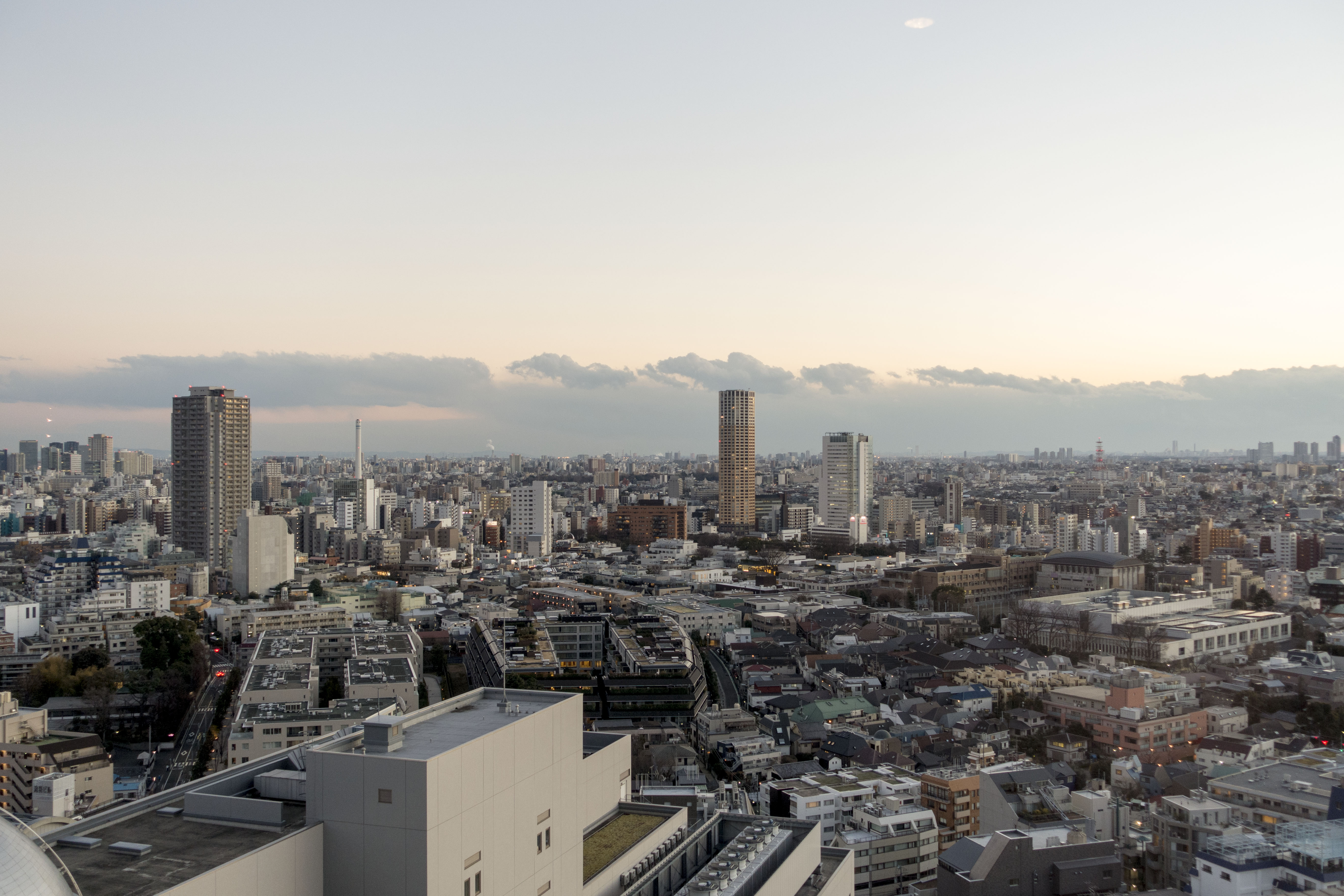 夕暮れの空の下に広がる東京の街並み